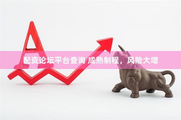 配资论坛平台查询 成熟制程，风险大增
