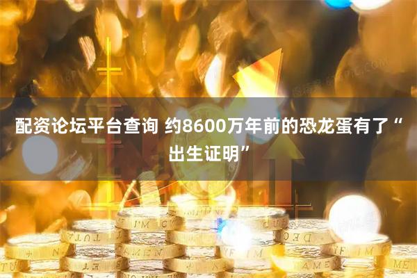 配资论坛平台查询 约8600万年前的恐龙蛋有了“出生证明”